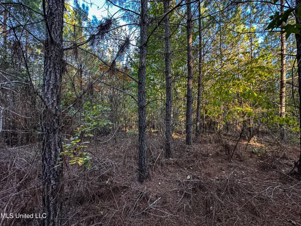 $341,692 | 1 County Road 107, Pittsboro, MS 38951