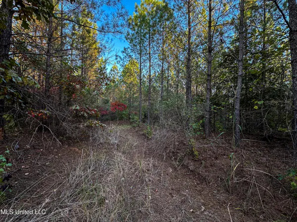 $341,692 | 1 County Road 107, Pittsboro, MS 38951