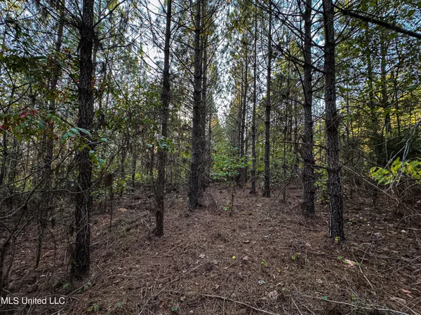 $341,692 | 1 County Road 107, Pittsboro, MS 38951