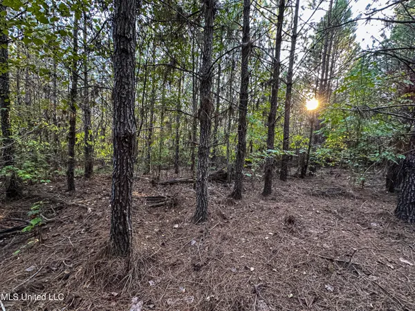 $341,692 | 1 County Road 107, Pittsboro, MS 38951