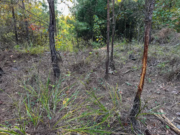 $341,692 | 1 County Road 107, Pittsboro, MS 38951