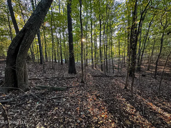 $341,692 | 1 County Road 107, Pittsboro, MS 38951