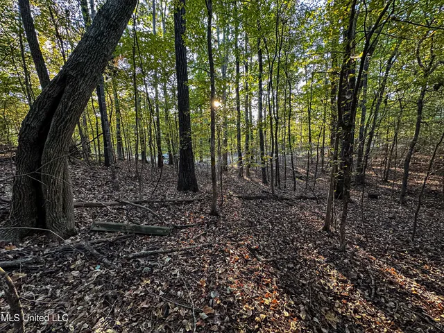 $341,692 | 1 County Road 107, Pittsboro, MS 38951