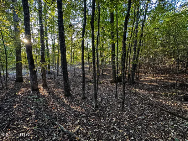 $341,692 | 1 County Road 107, Pittsboro, MS 38951