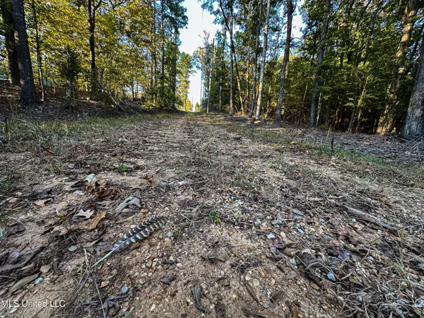 $341,692 | 1 County Road 107, Pittsboro, MS 38951