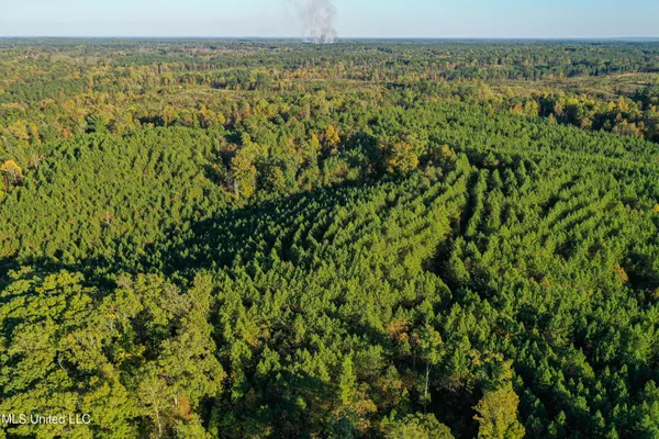 $341,692 | 1 County Road 107, Pittsboro, MS 38951