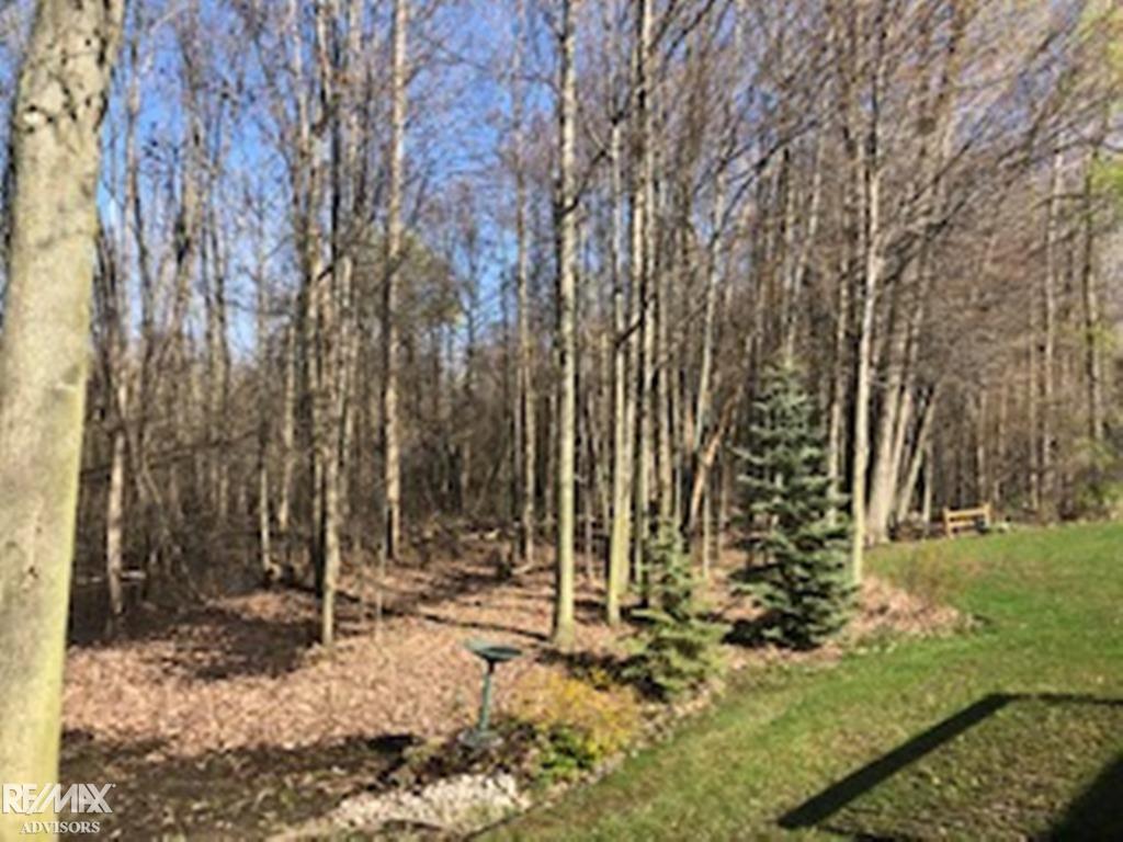 9654 Nook Road Algonac, MI 48001 - Photo 2 of 14 31377399-1.JPG