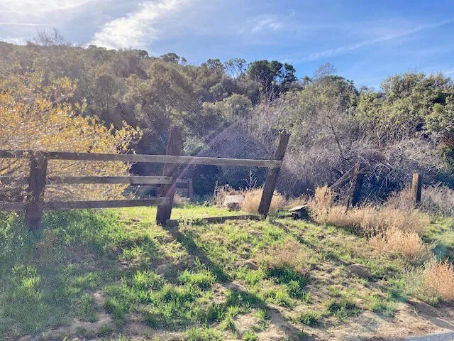 a view of a backyard of the house