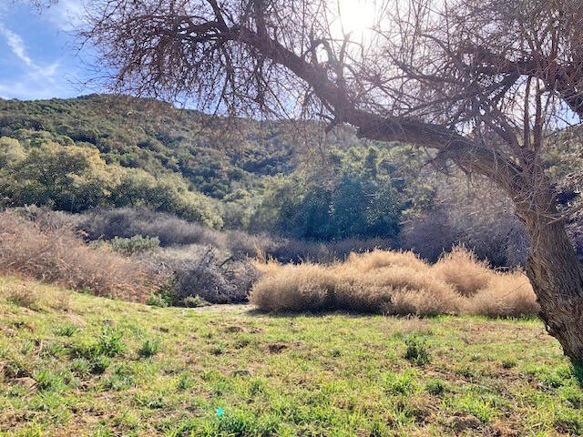 Cll Rosalito Green Valley, CA 91390 - Photo 3 of 9