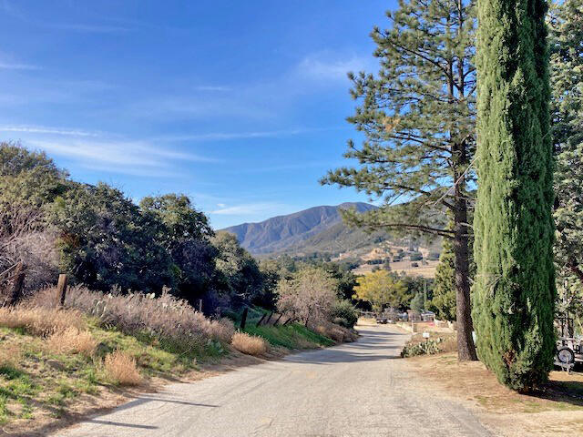 Cll Rosalito Green Valley, CA 91390 - Photo 4 of 9 a view of a street with a tree