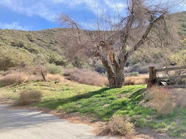 a view of a lake with lots of trees