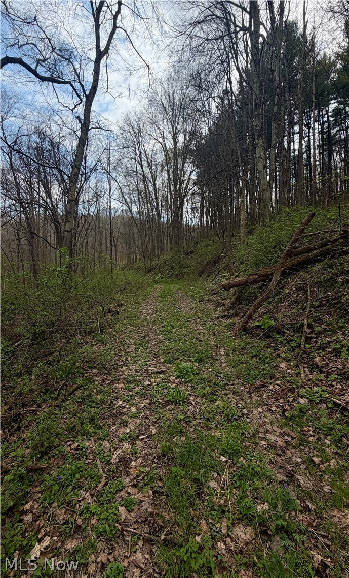 9100 Post Road Jewett, OH 43986 - Photo 44 of 46