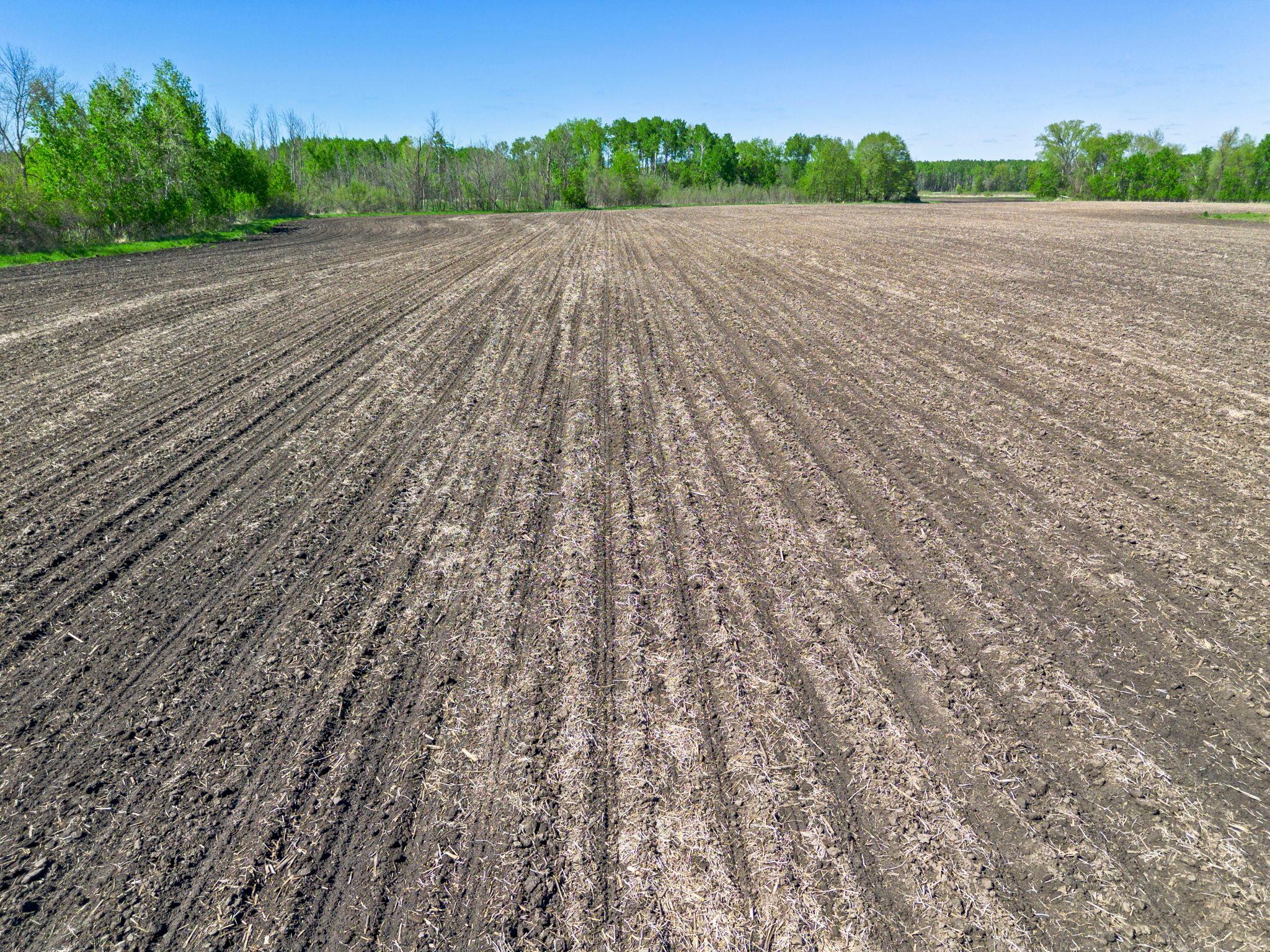 0 Xenon Road Northwest Dalbo, MN 55017 - Photo 25 of 29