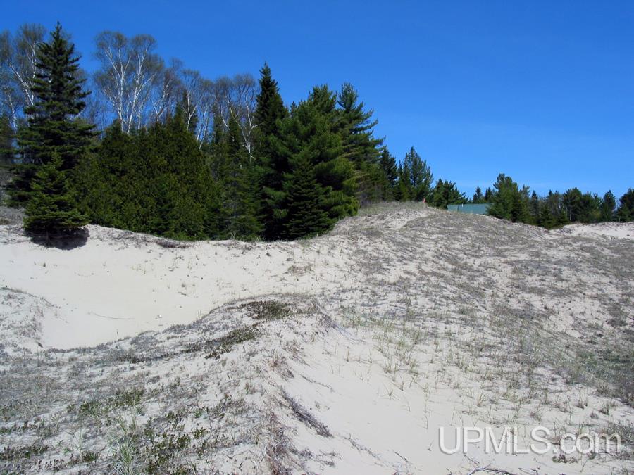 Tbd Michibay Road Manistique, MI 49854 - Photo 5 of 16