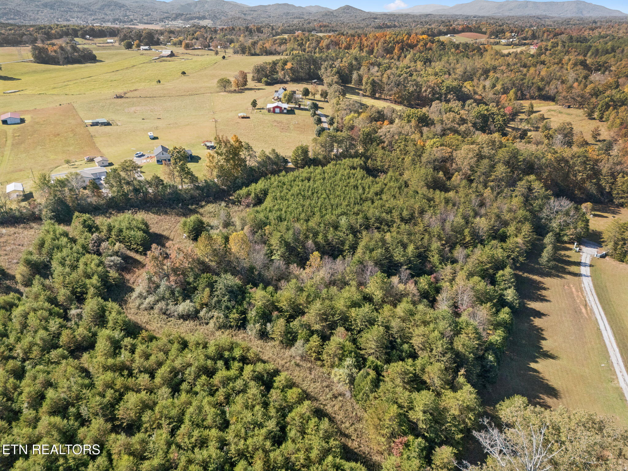31 Old Sink Church Road Tellico Plains, TN 37385 - Photo 16 of 16 17-Cty Rd 731, TN 37385 - 015