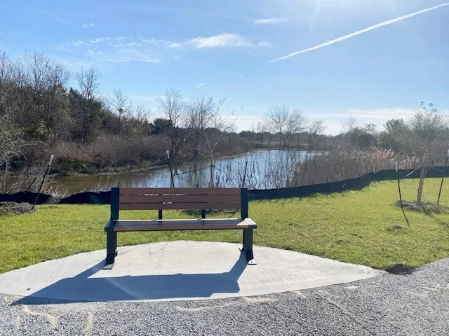 a view of a park with a bench