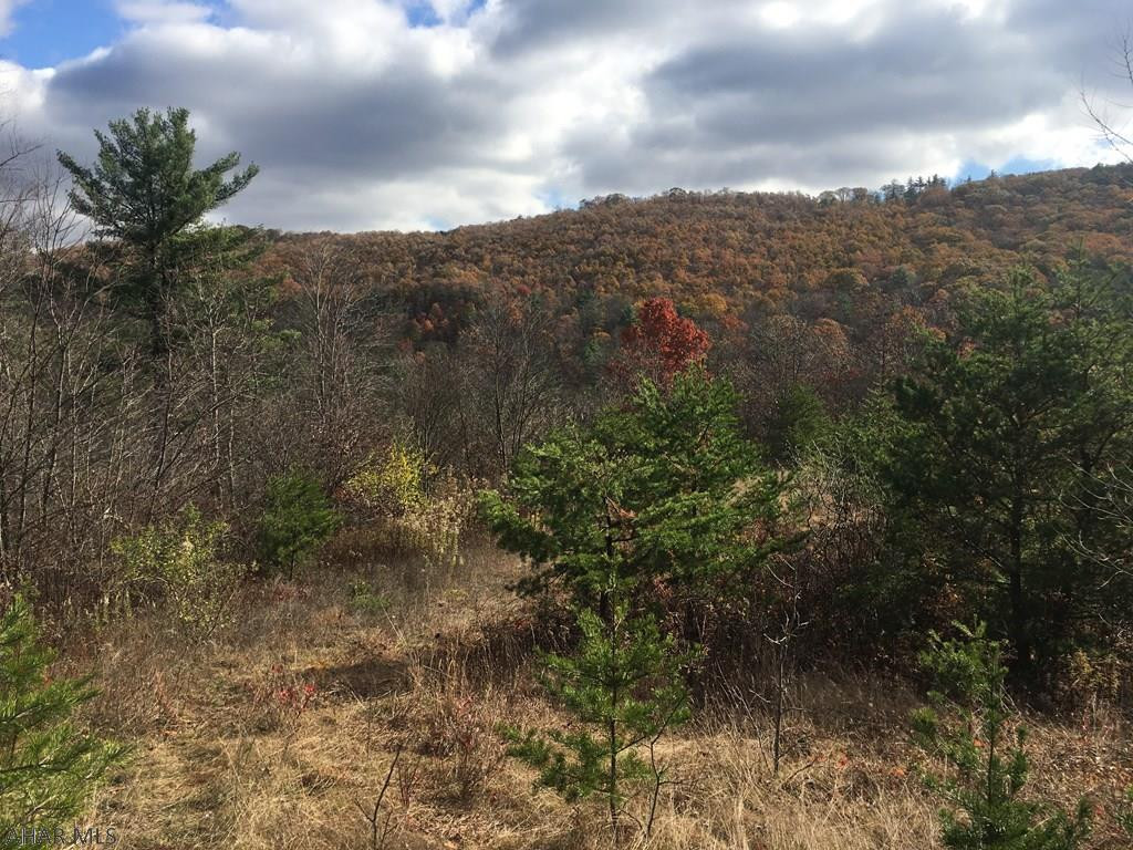 3152 Clear Ridge Road Clearville, PA 15535 - Photo 2 of 11 a view of a dry yard with mountains