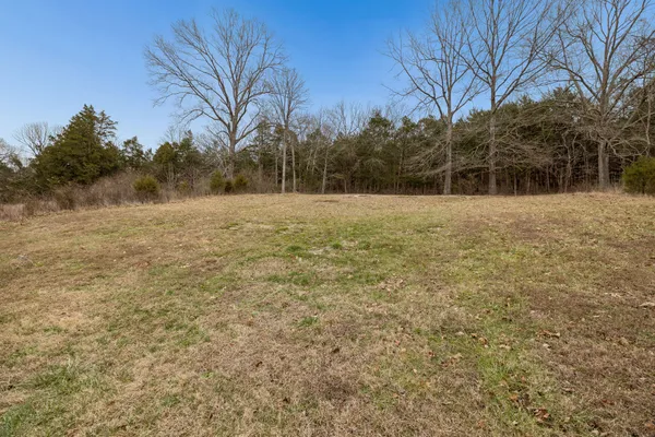 a view of a field with trees in the background