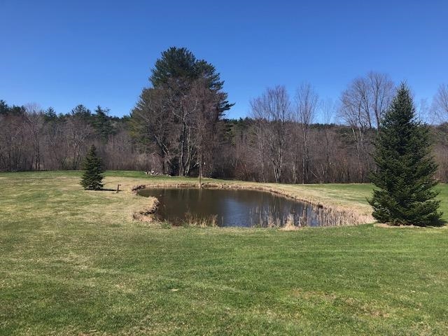 19 Old Hancock Road Hancock, NH 03449 - Photo 24 of 26