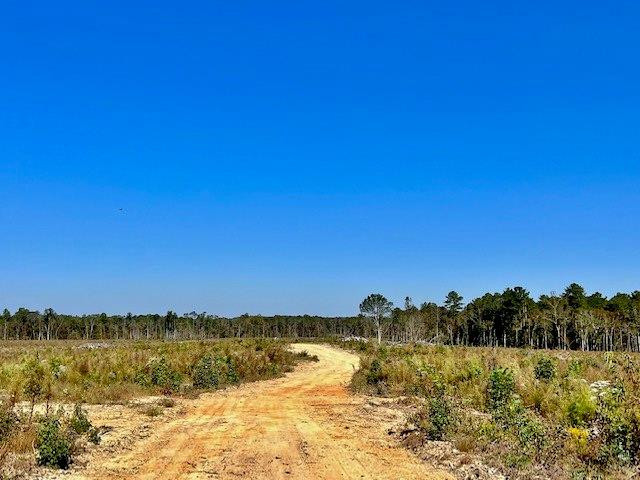 0 Tryus Bracken Road Sontag, MS 39665 - Photo 1 of 33 Main View