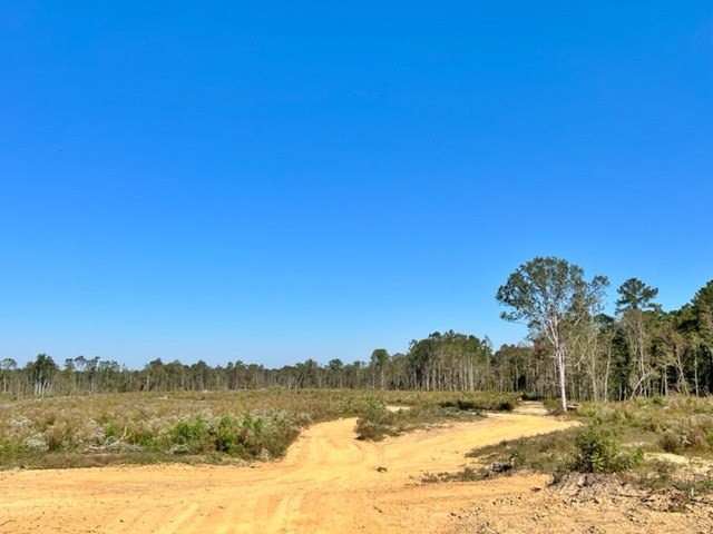 0 Tryus Bracken Road Sontag, MS 39665 - Photo 21 of 33 Photo 21