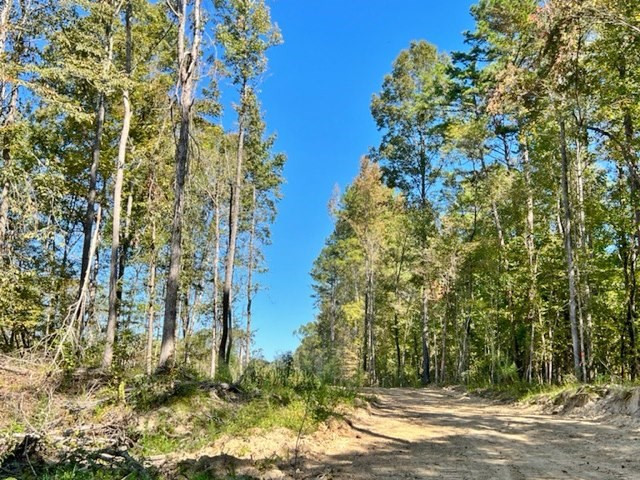 0 Tryus Bracken Road Sontag, MS 39665 - Photo 29 of 33 Photo 29