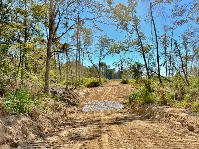 0 Tryus Bracken Road Sontag, MS 39665 - Photo 3 of 33 Photo 3