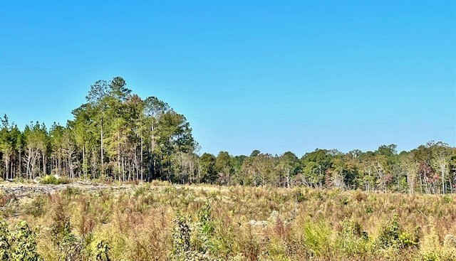 0 Tryus Bracken Road Sontag, MS 39665 - Photo 9 of 33 Photo 9