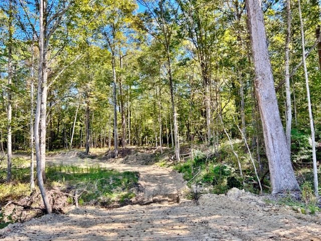 0 Tryus Bracken Road Sontag, MS 39665 - Photo 10 of 33 Photo 10