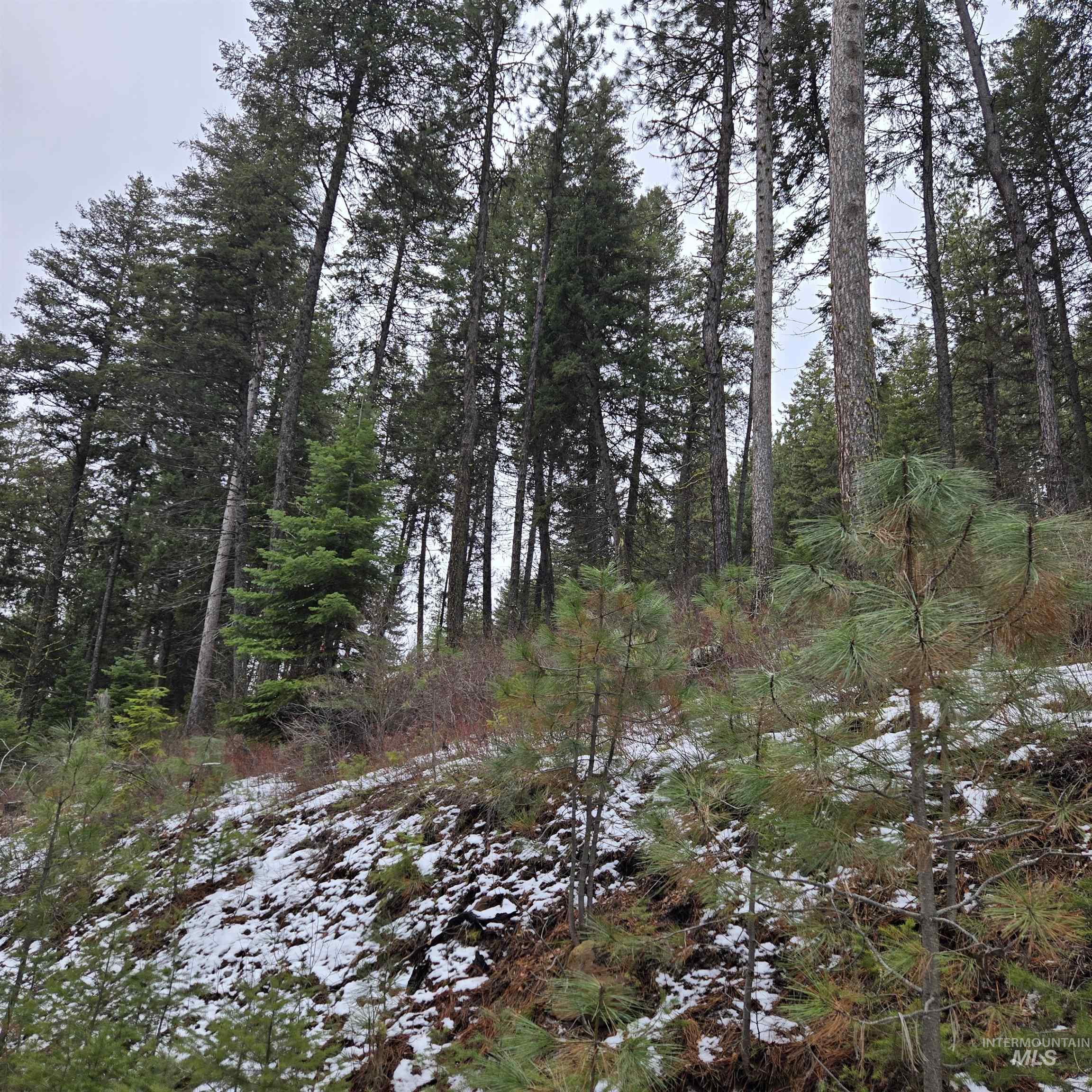 Tbd Granite View Road New Meadows, ID 83654 - Photo 8 of 9 Gallery Image 8
