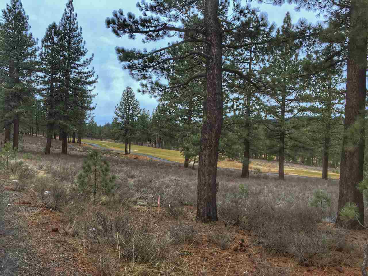 11518 Henness Road Truckee, CA 96161 - Photo 2 of 14 Gallery Image 2