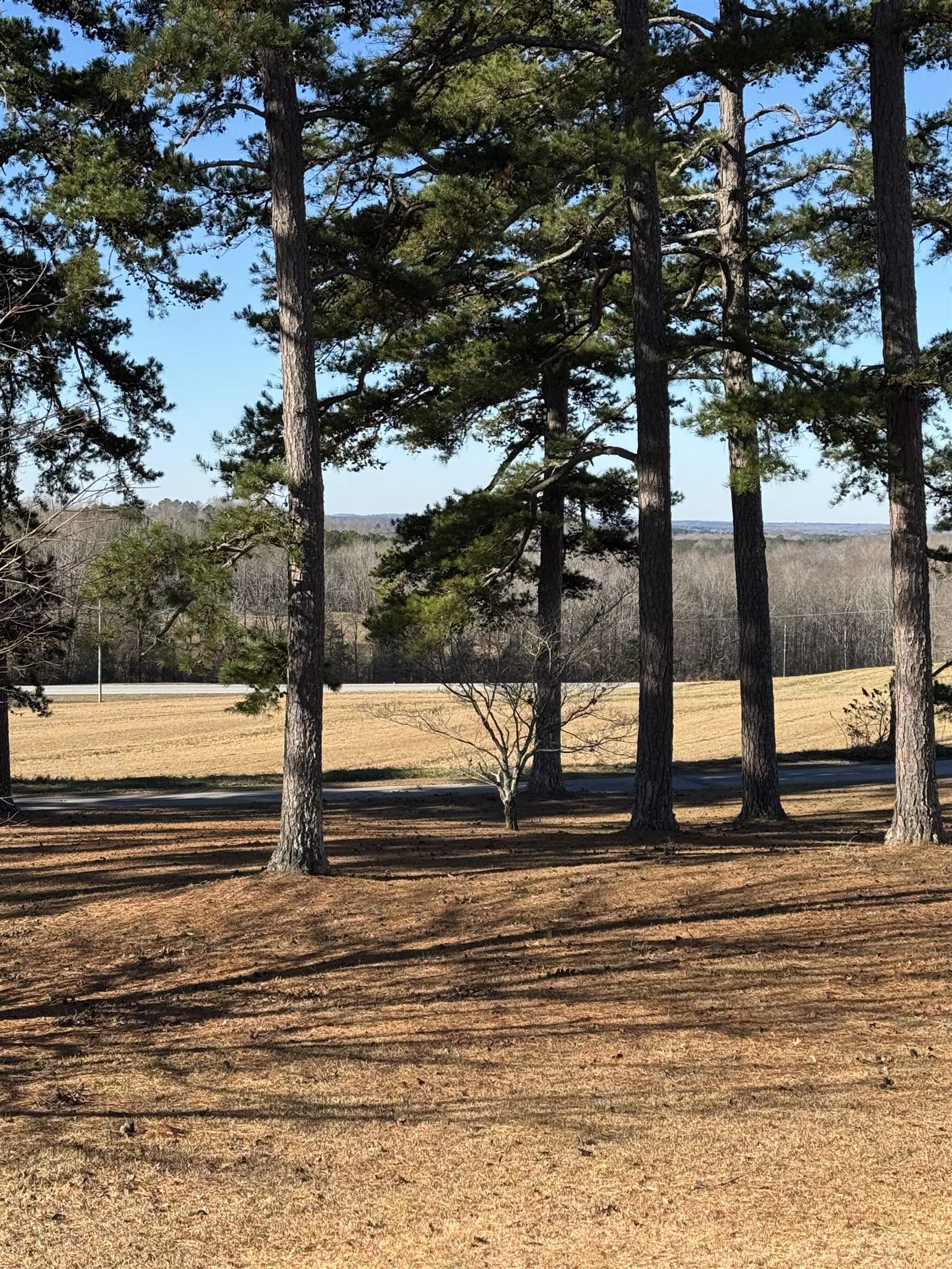 133 Fleming Hill Road Jonesville, SC 29353 - Photo 40 of 48