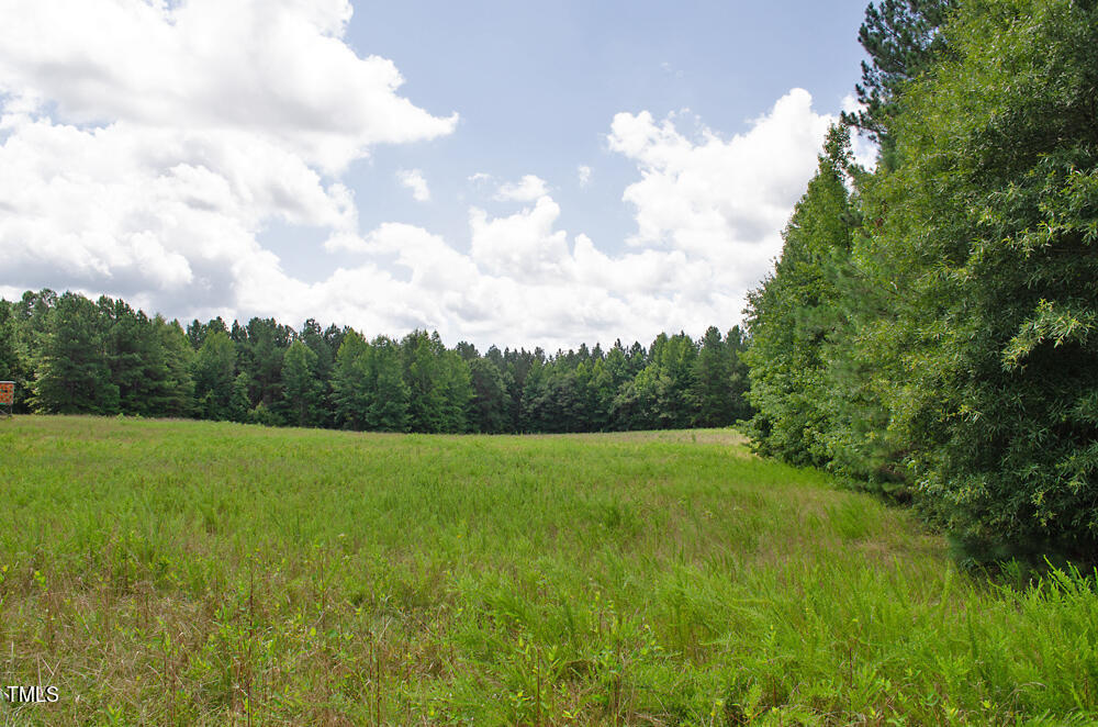4070 Range Road Stem, NC 27581 - Photo 18 of 26 DSC_0037