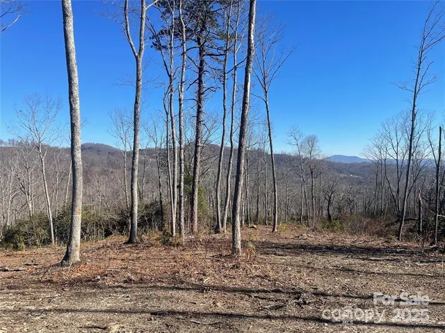 $299,000 | Lot 59 Mountain Grove Lane, Fletcher, NC 28732