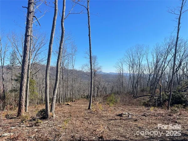 $299,000 | Lot 59 Mountain Grove Lane, Fletcher, NC 28732