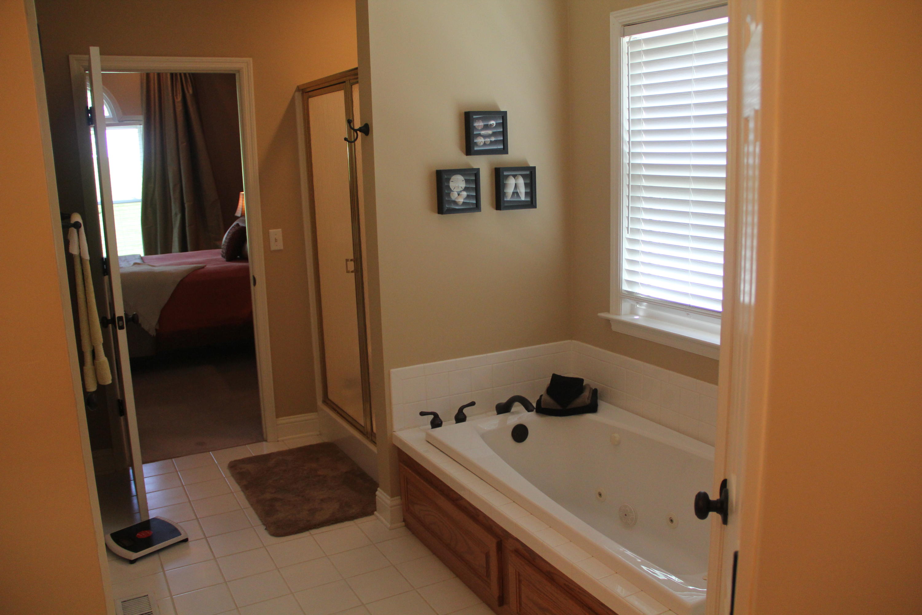 6559 Fairview Road Hixson, TN 37343 - Photo 18 of 36 Master Bath