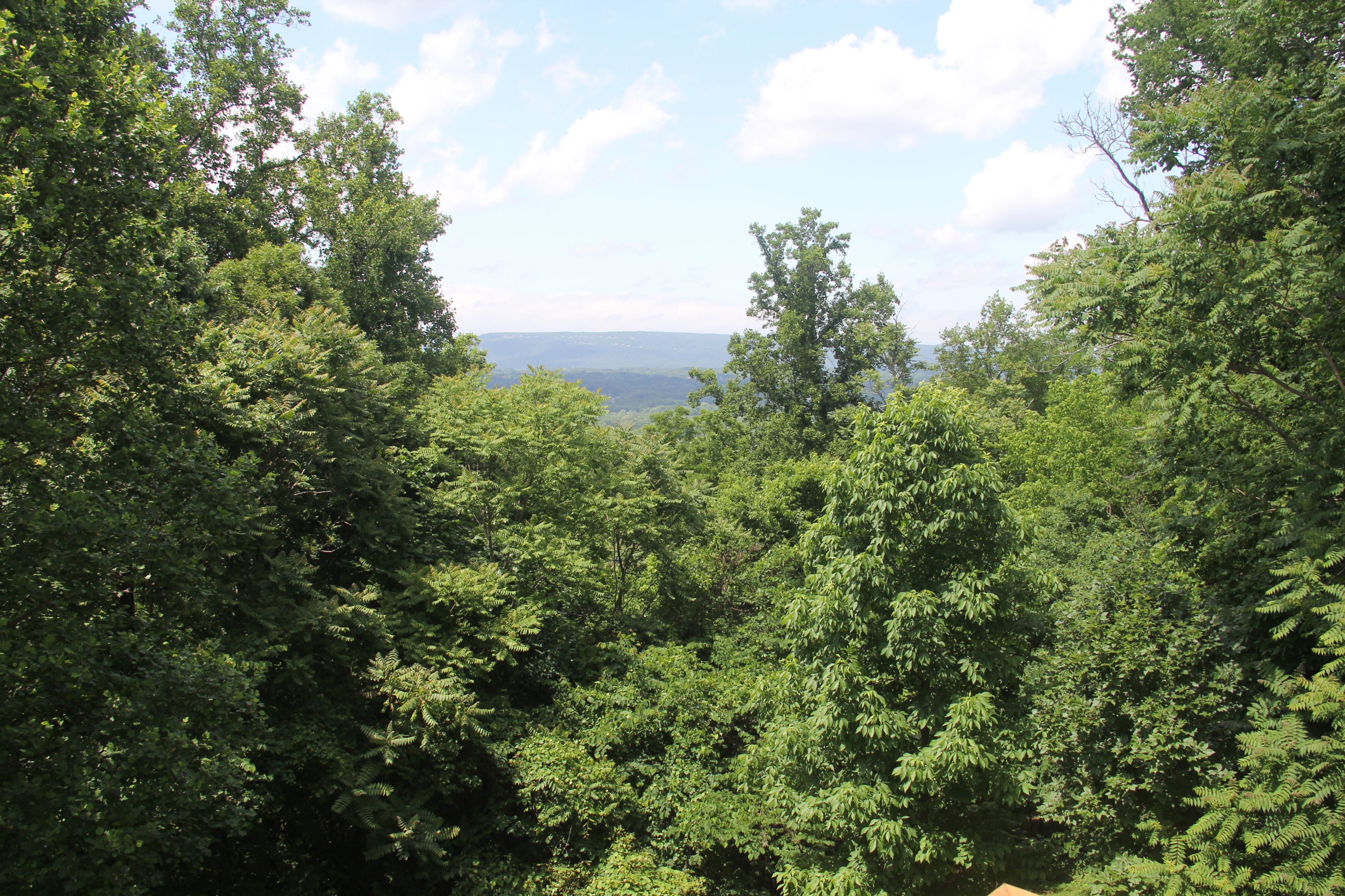6559 Fairview Road Hixson, TN 37343 - Photo 36 of 36 View from deck