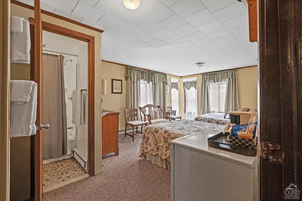 a view of a yard with plants and trees