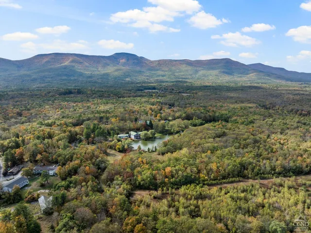 $2,695,000 | 866-872 Mountain Avenue, Purling, NY 12470