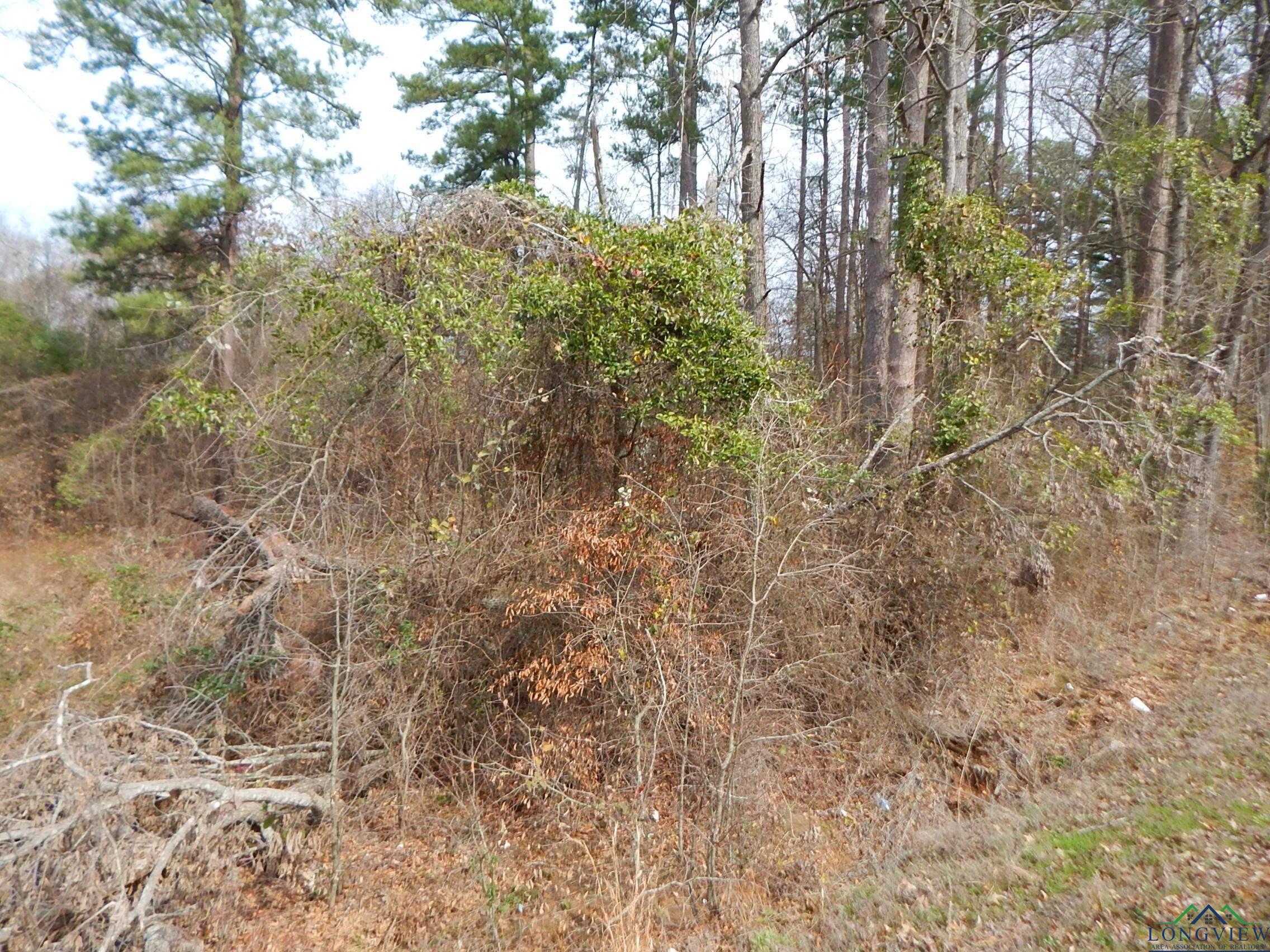 11.72 Acres George Richey Road White Oak, TX 75693 - Photo 17 of 17 Gallery Image 17