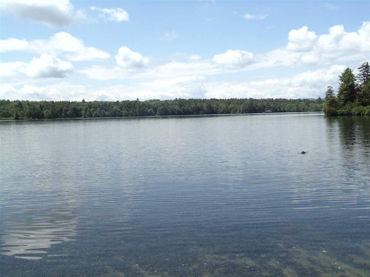 254 High Haith Road Center Harbor, NH 03226 - Photo 16 of 16