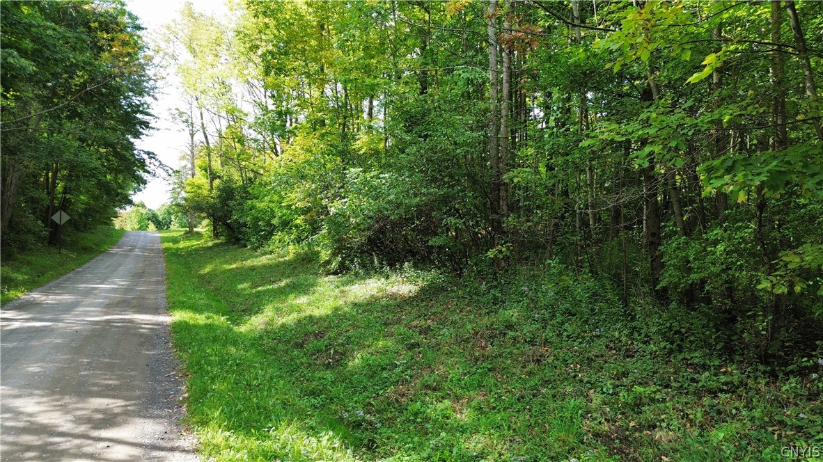 Lot 21 Buddle Road Richfield Springs, NY 13439 - Photo 9 of 21 Gallery Image 9