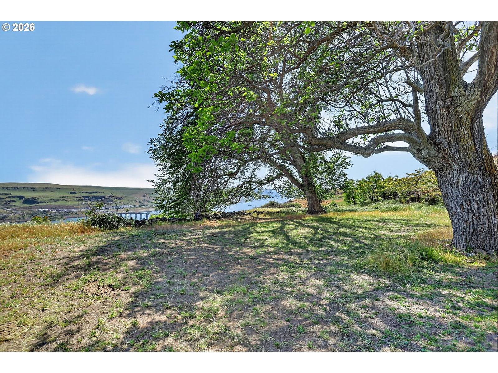 80 Maryhill Ranch Road Goldendale, WA 98620 - Photo 23 of 40 Gallery Image 23