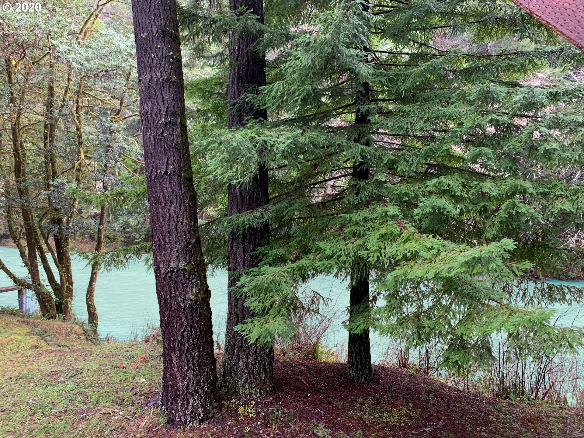 1040 Winchuck River Road Brookings, OR 97415 - Photo 28 of 32