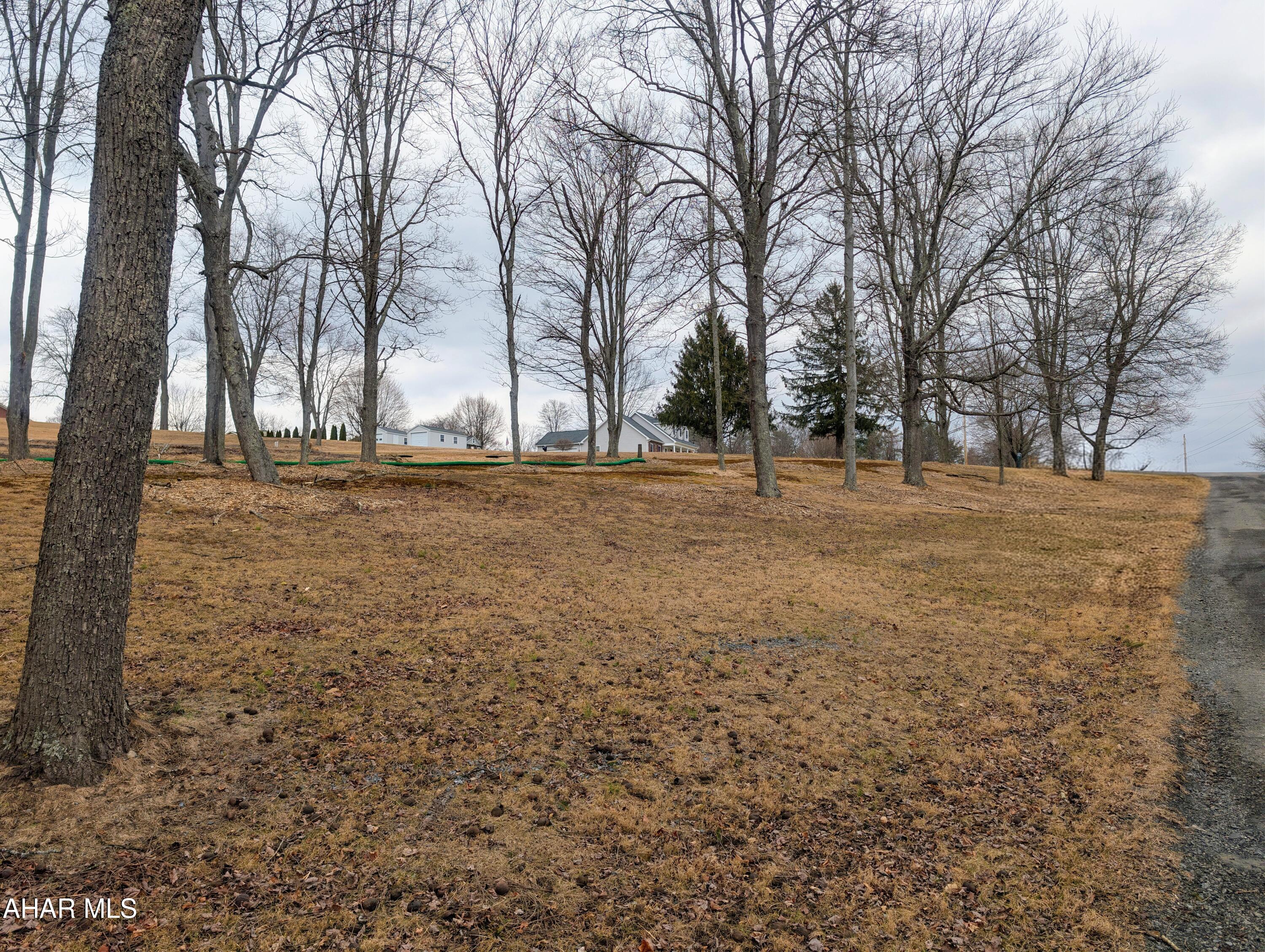 Off Park Heights Road Bedford, PA 15522 - Photo 6 of 15