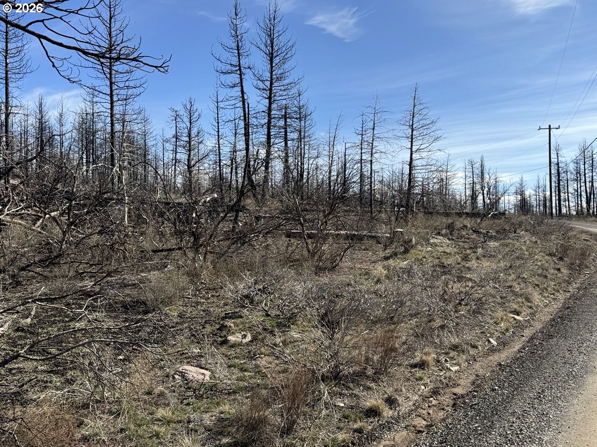 Hummingbird Drive, Unit 1 Bonanza, OR 97623 - Photo 2 of 38