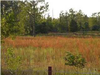 B Dallas Elliott Road Jay, FL 32565 - Photo 1 of 1 Gallery Image 1