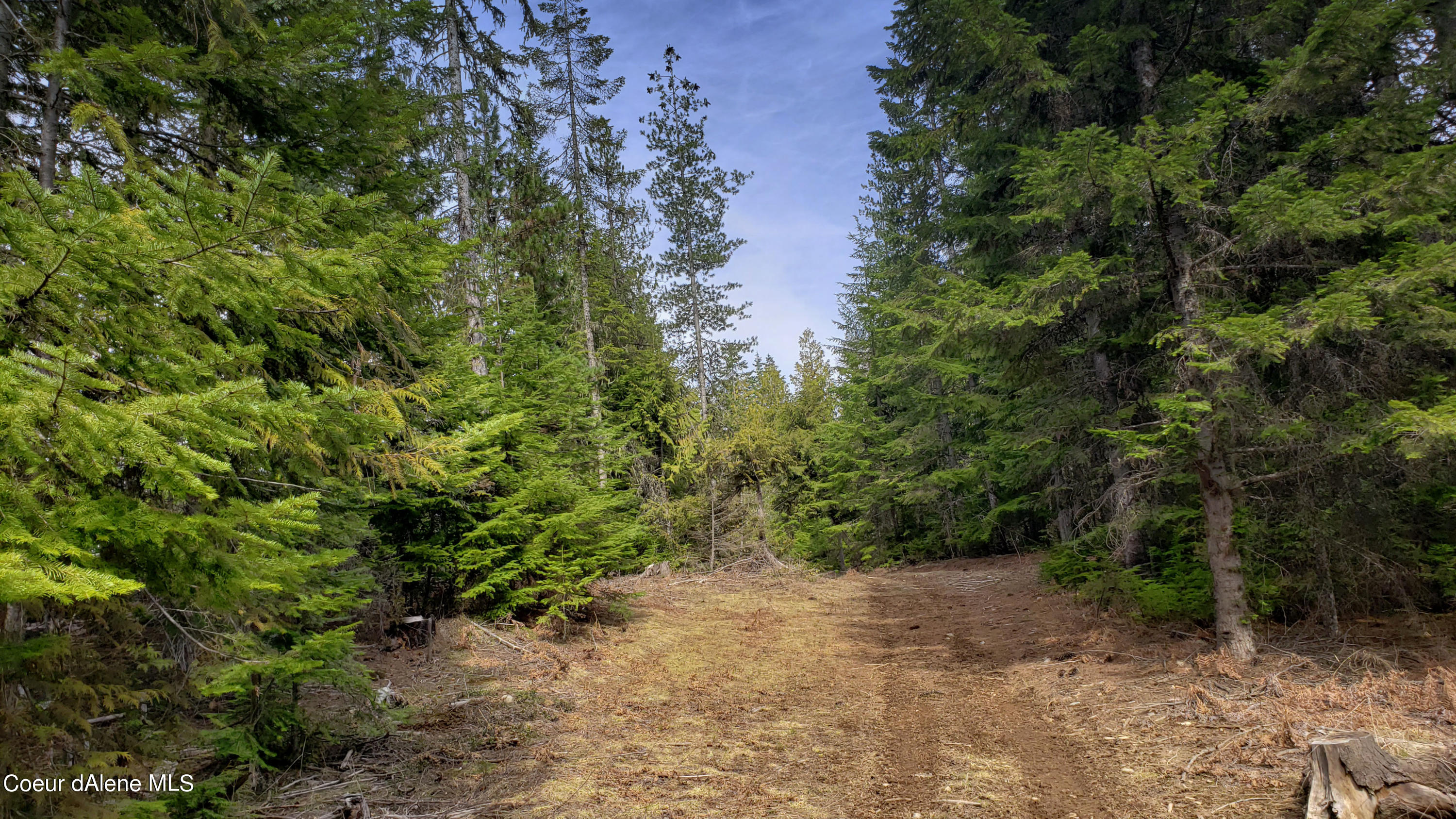855 Meadowood Road Sandpoint, ID 83864 - Photo 20 of 39 driveway
