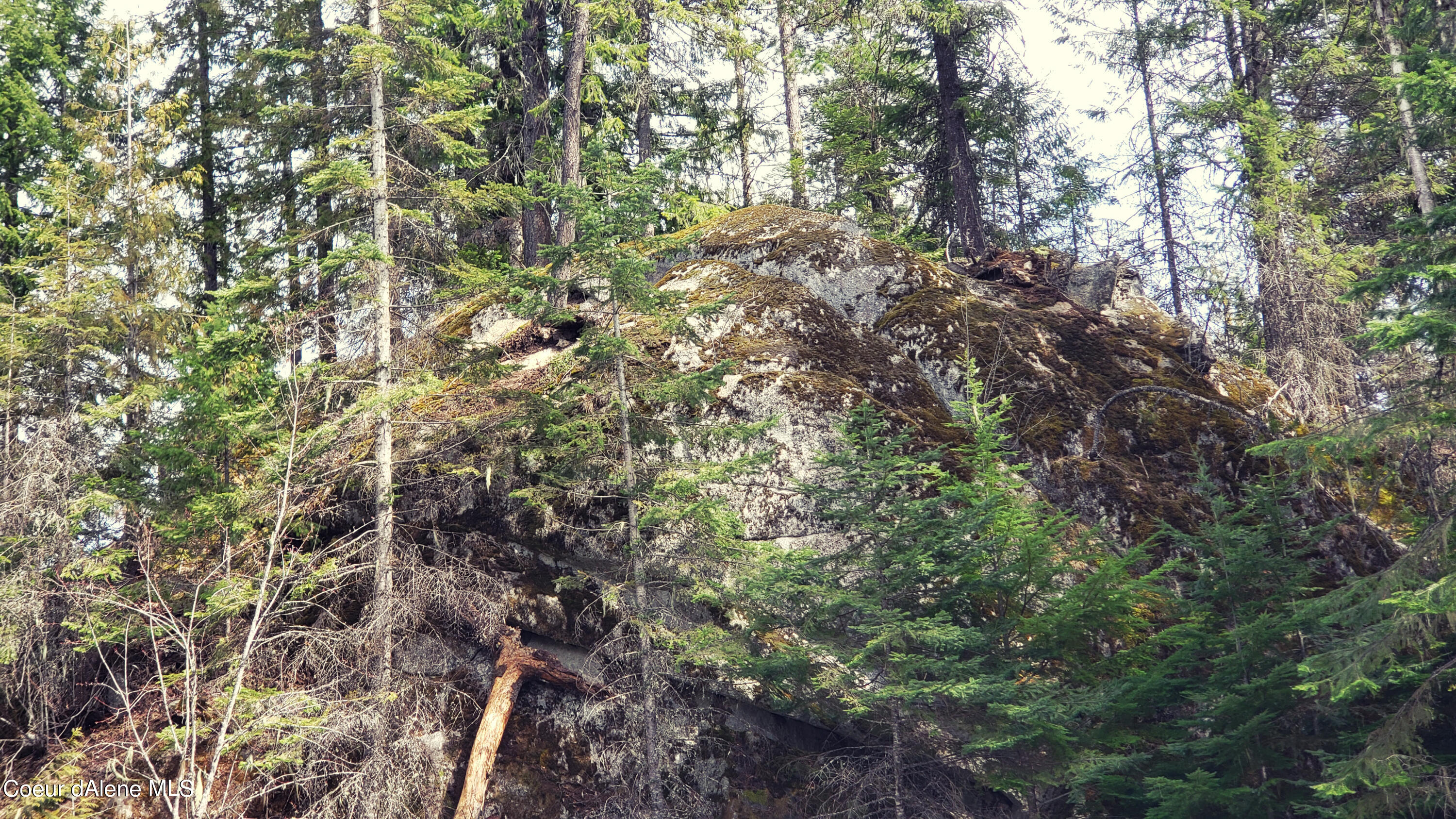 855 Meadowood Road Sandpoint, ID 83864 - Photo 21 of 39 rock climbing