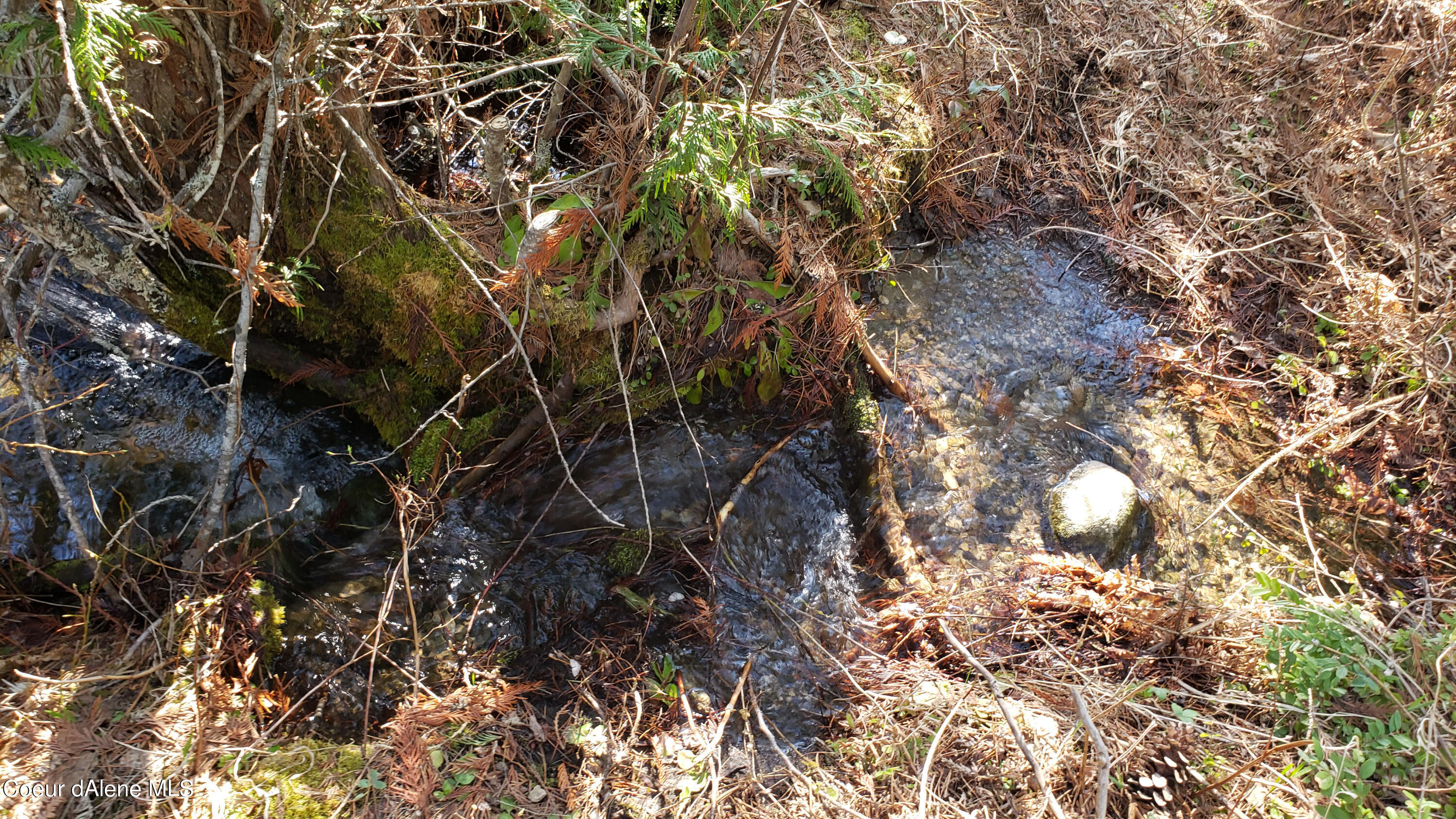 855 Meadowood Road Sandpoint, ID 83864 - Photo 22 of 39 seasonal creek